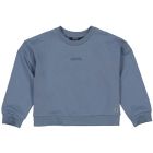 Silvan_Blauw