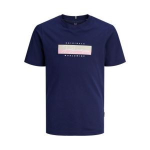 12278408_Blauw