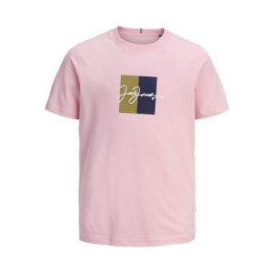 12278408_Roze