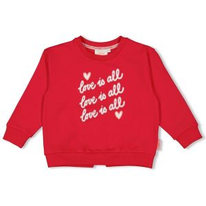 91600445_Rood
