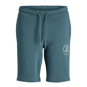 Jpstswift_Blauw