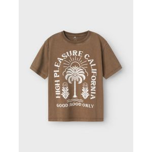 Nkmjarvu_Bruin